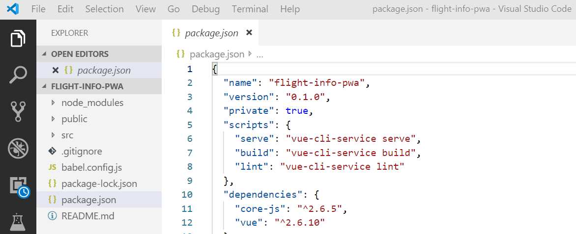 The Application Opened with VS Code