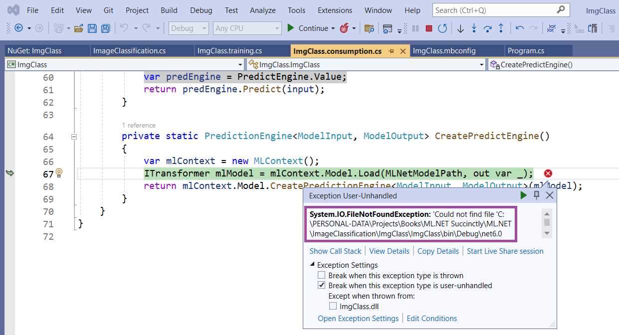 Error Executing the Application—Visual Studio