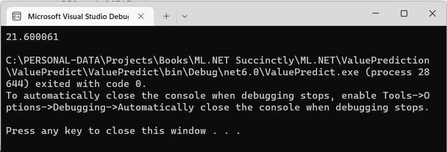 The Program Running—Microsoft Visual Studio Debugger
