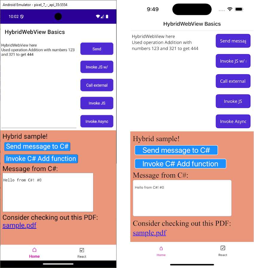 Embedding Web Content in .NET MAUI: HybridWebView | Mobile Web Wrappers ...