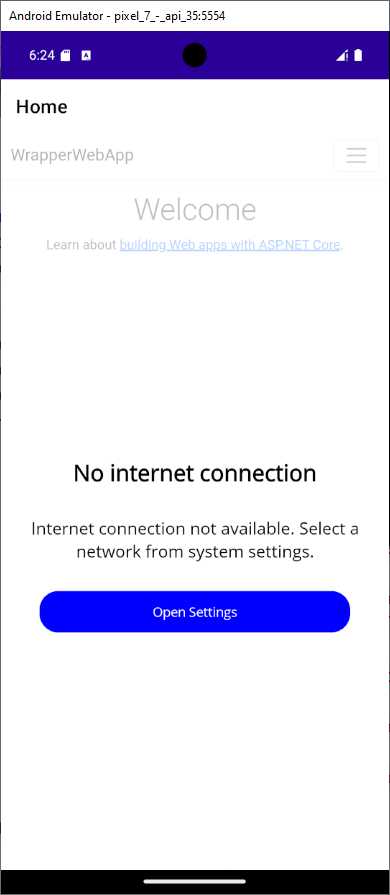 The application showing the “no network” user interface