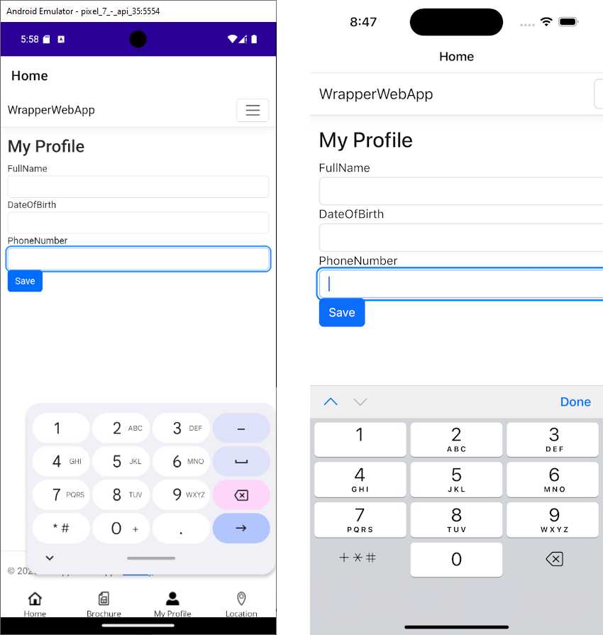 The application showing the specialized keypad
