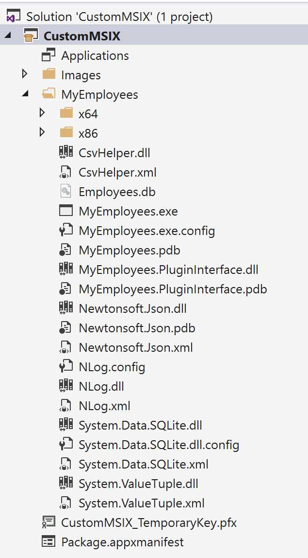 A Windows Application Packaging Project that contains the binaries of a standalone application