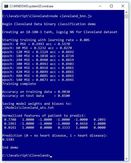 Neural Binary Classification