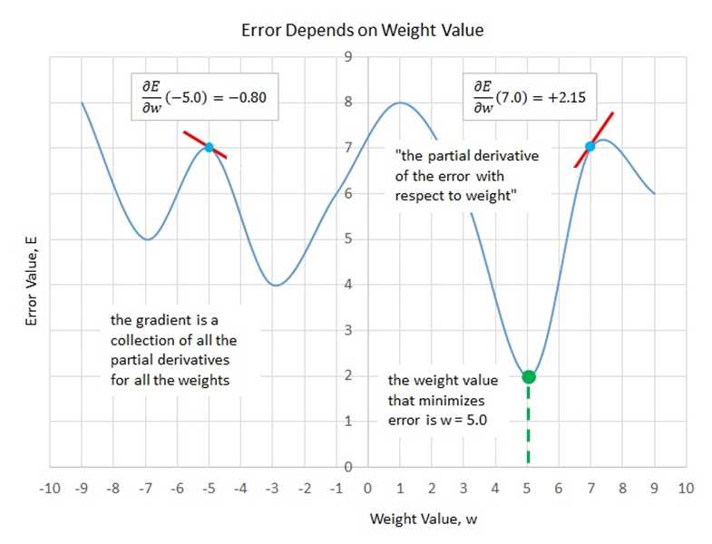 The Gradient of a Neural Network Weight