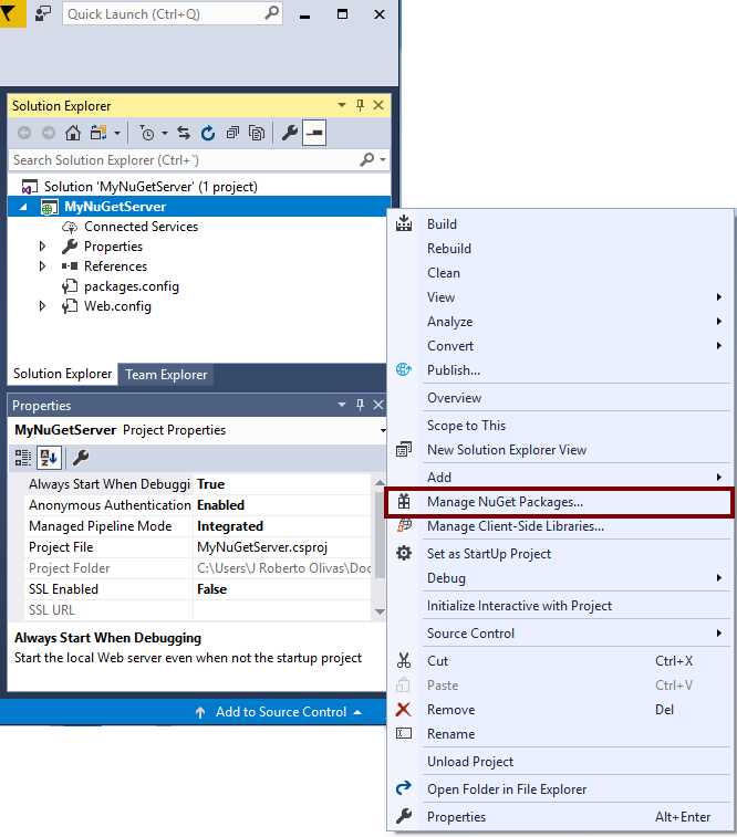 Managing NuGet packages in the NuGet server project