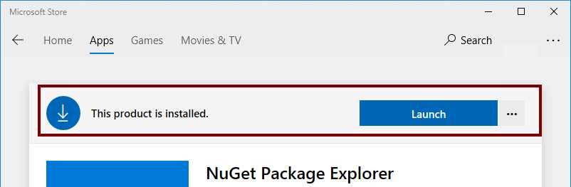 Microsoft Store application after installation process
