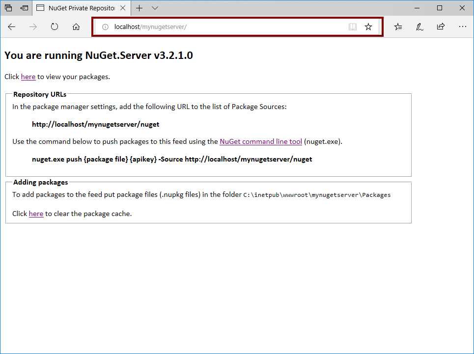 Our NuGet server running on IIS