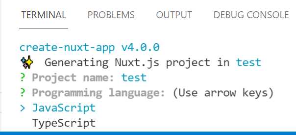 Programming language— create-nuxt-app (Built-in Terminal—VS Code)