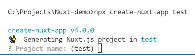 Project Name— create-nuxt-app (Built-in Terminal—VS Code)