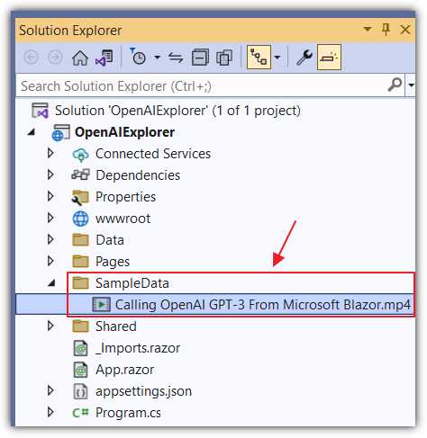 Add SampleData Folder and .MP4 File