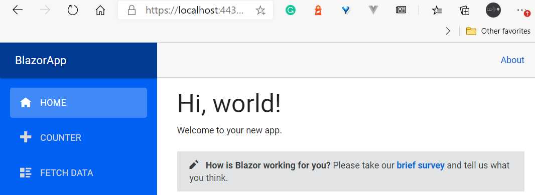 The App Running (with Hot Reload, After the Change)