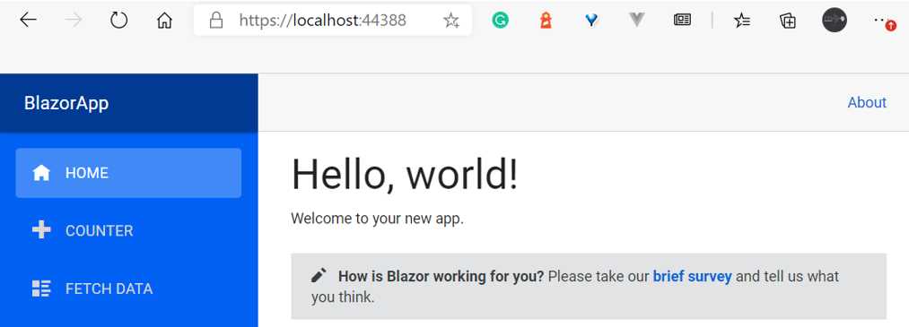 The App Running (with Hot Reload, Before Any UI Changes)