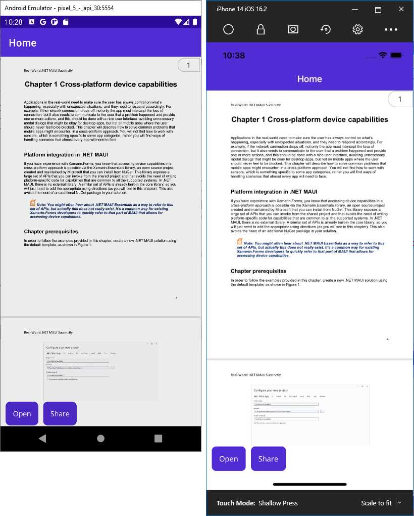 Displaying a PDF document in .NET MAUI