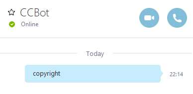Testing Our Bot on Skype