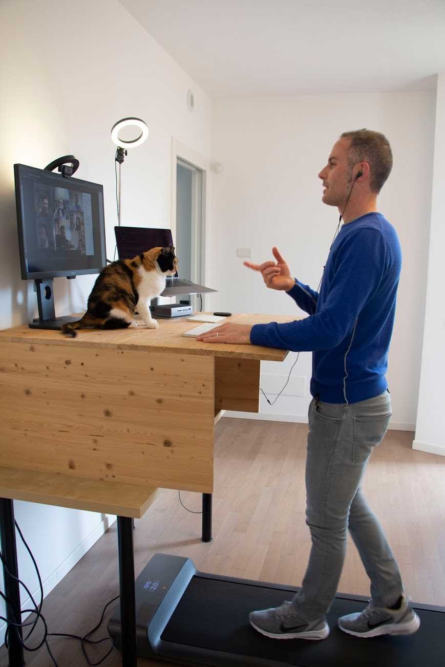 The perfect companions for a virtual meeting