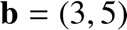 %FontSize=11
%TeXFontSize=11
\documentclass{article}
\pagestyle{empty}
\begin{document}
\[
\mathbf b=(3,5)
\]
\end{document}