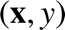 %FontSize=11
%TeXFontSize=11
\documentclass{article}
\pagestyle{empty}
\begin{document}
\[
(\mathbf{x},y)
\]
\end{document}