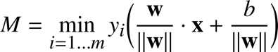 %FontSize=11
%TeXFontSize=11
\documentclass{article}
\pagestyle{empty}
\begin{document}
\[
M = \min_{i=1\dots m} y_i \bigg(\dfrac{\mathbf{w}}{\|\mathbf{w}\|}\cdot\mathbf{x} + \dfrac{b}{\|\mathbf{w}\|}\bigg)
\]
\end{document}