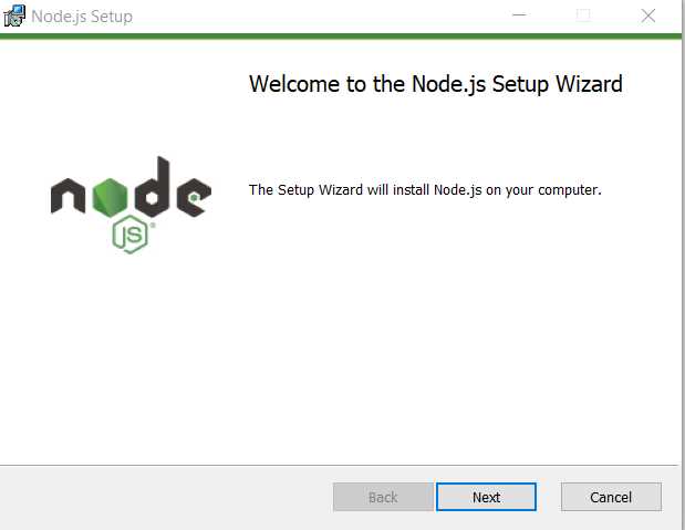 Initial Node.js Installation Screen
