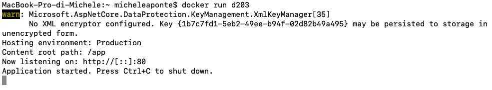 Output of the ASP.NET Core sample container execution