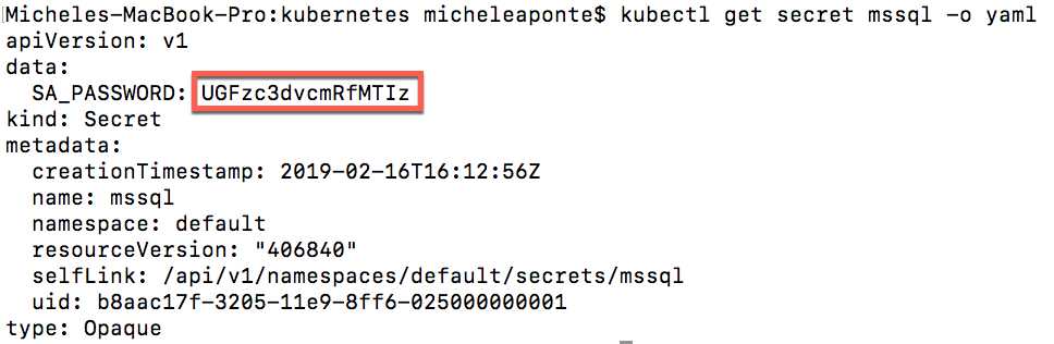 Output of the command to show secret value