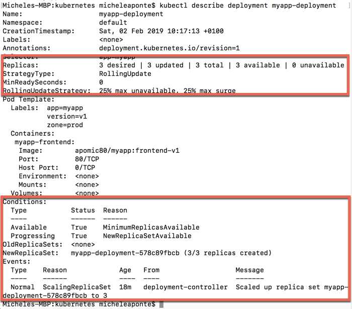 Output of the deployment describe command