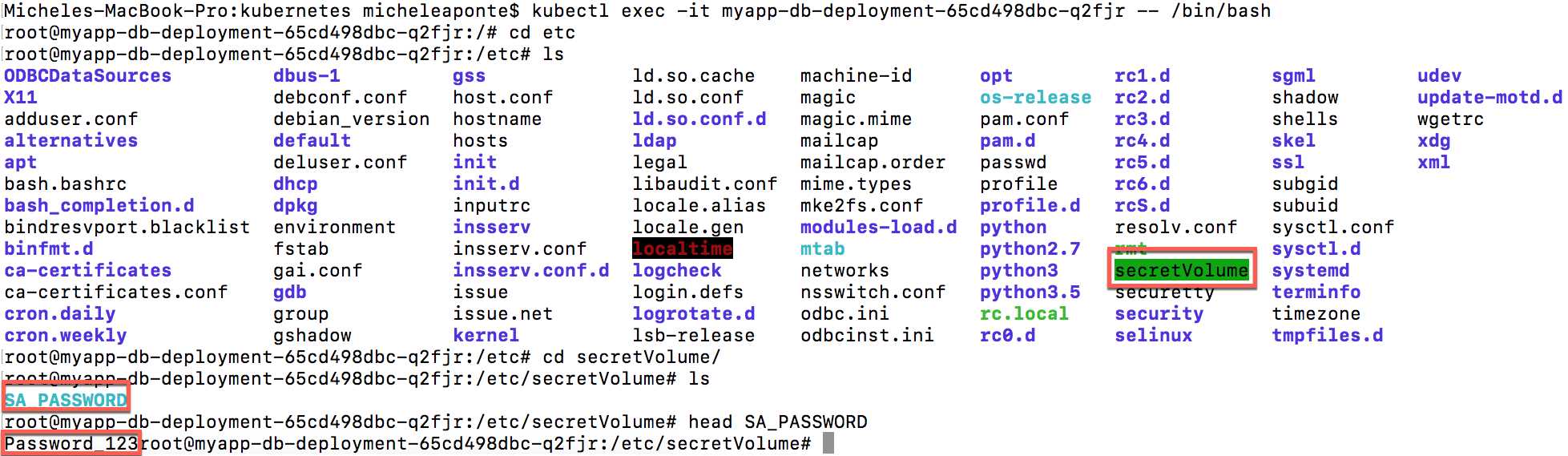 The secret mounted as volume in the container
