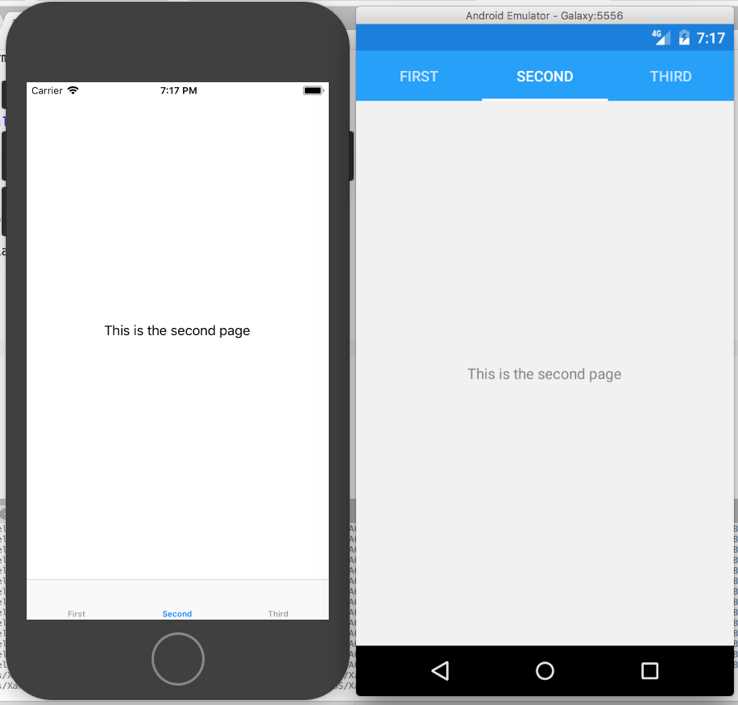 Displaying grouped contents with the TabbedPage