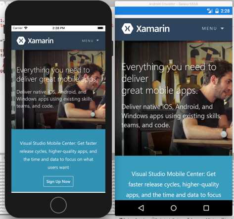 Displaying HTML contents with WebView