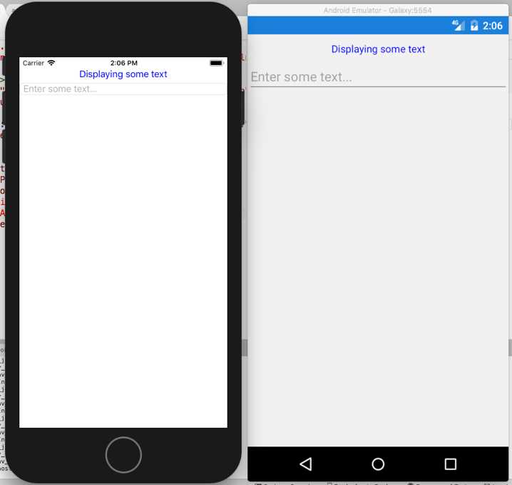 Label and Entry controls