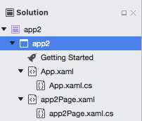 The shared project in a Xamarin.Forms solution