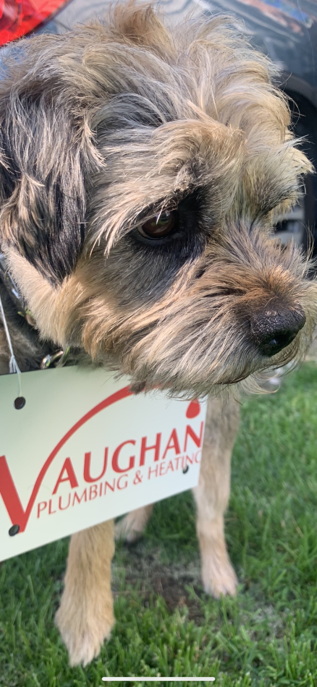 Vaughan Plumbing And Heating, LLC