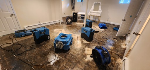 Leal Cleaning and Restoration 978-778-6676