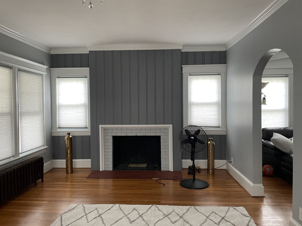 Alternative Painting Co