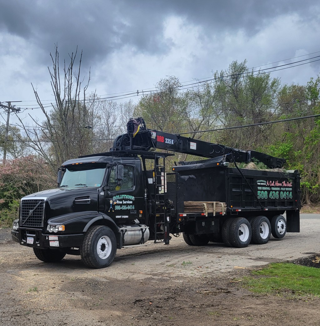 Solutions Tree Services