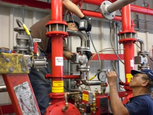 Domestic Fire Protection LLC