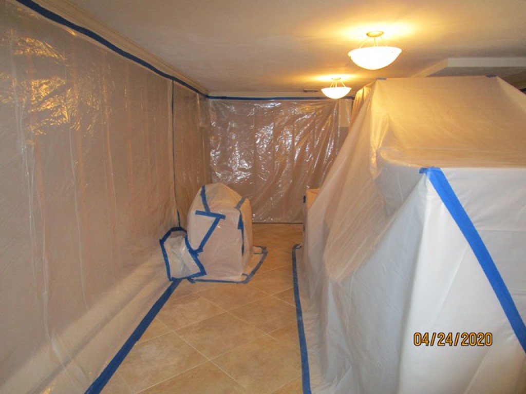 TOP 10 BEST Black Mold Removal in Tewksbury, MA - Yelp