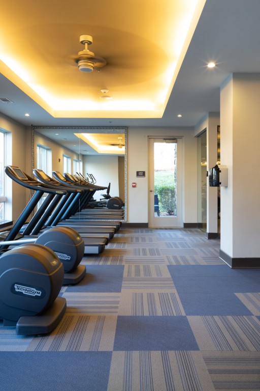 TF Andrew Carpet One Floor & Home