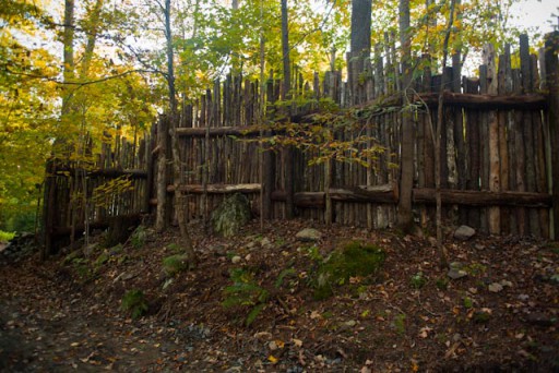 Guilded Leaf landscapes