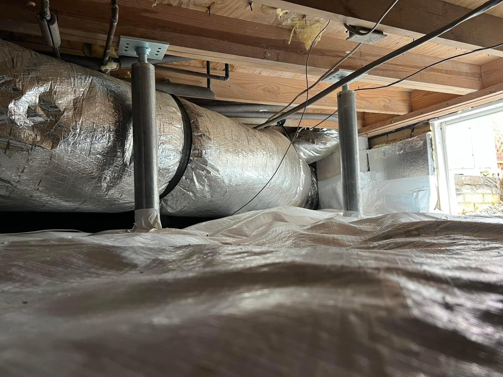 The 10 Best Crawl Space Repair Services Near Me (Free Quotes)