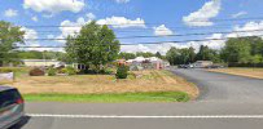 Top Seed Landscape Design