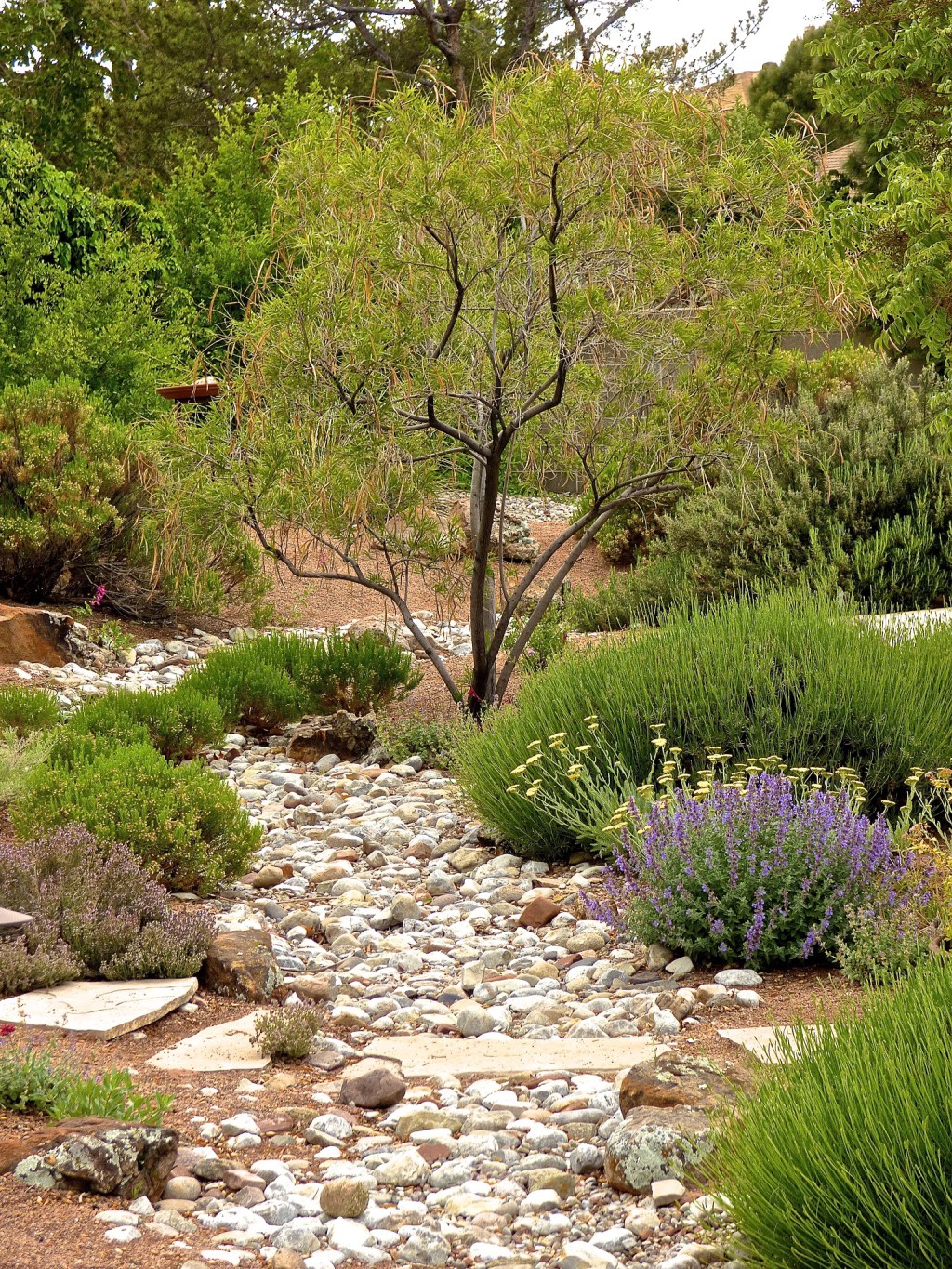 Waterwise Timber Pattern Waterwise Landscapes