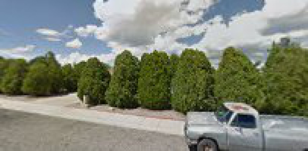 M & S Yard Service's