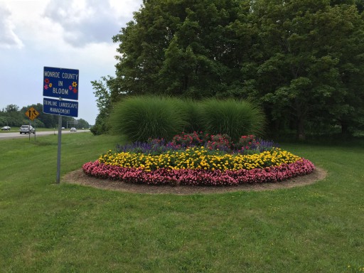 Trimline Landscape Management