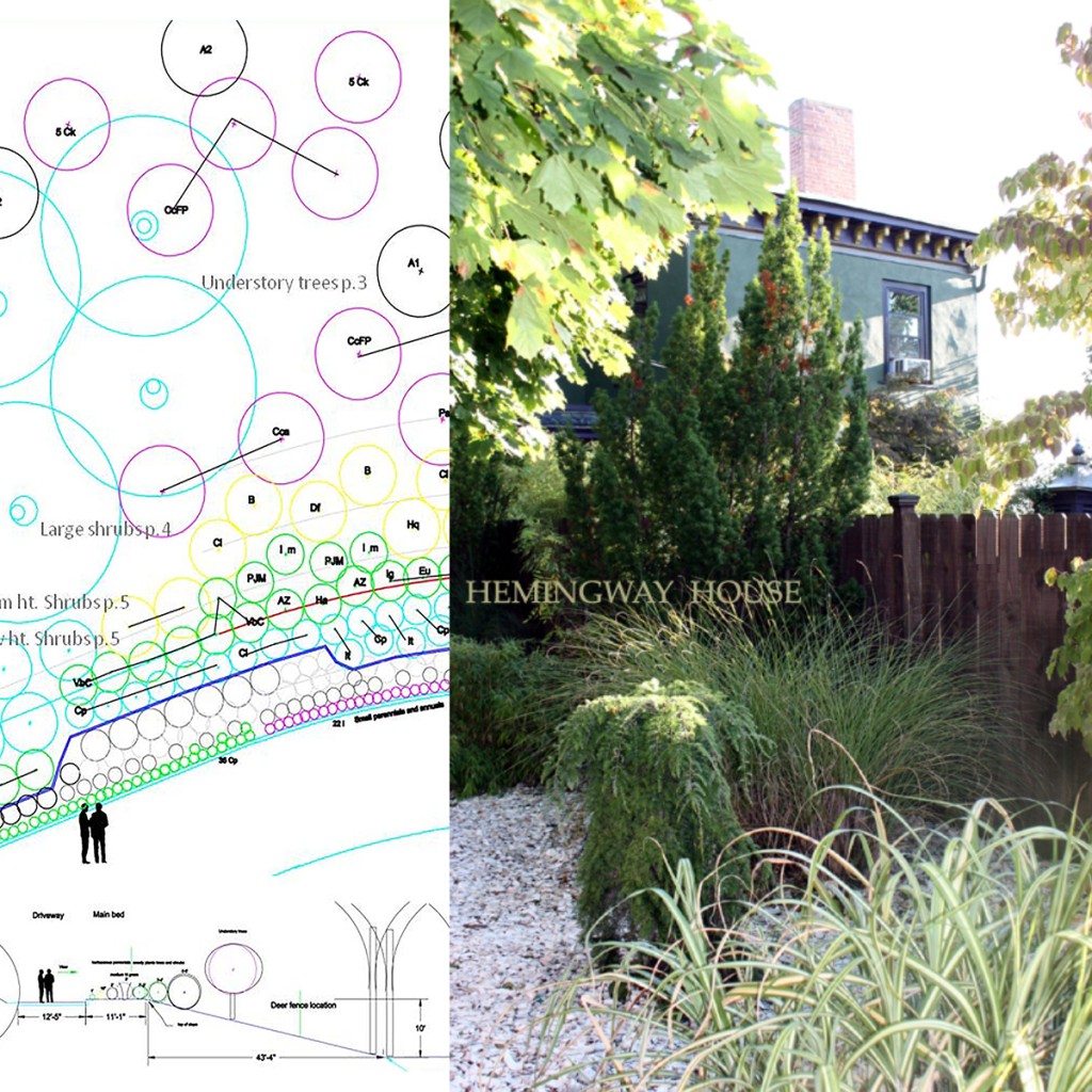 MVR Landscape Architect