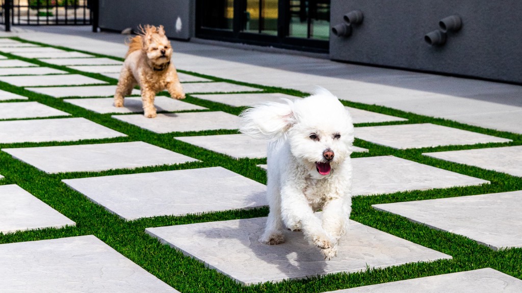 Garitee Landscapes & Bobcat Service