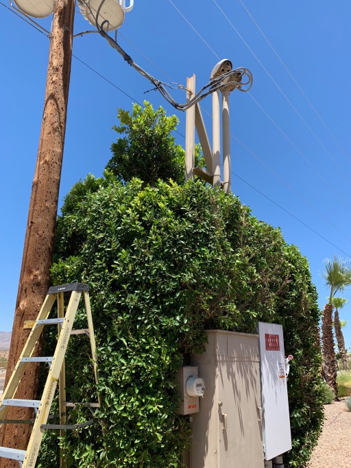 Dave's Yard Maintenance