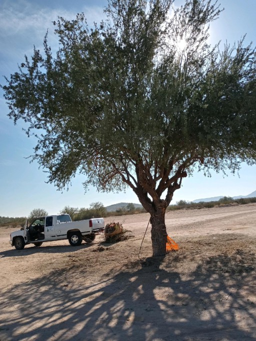 Moises Garden & Landscape LLC