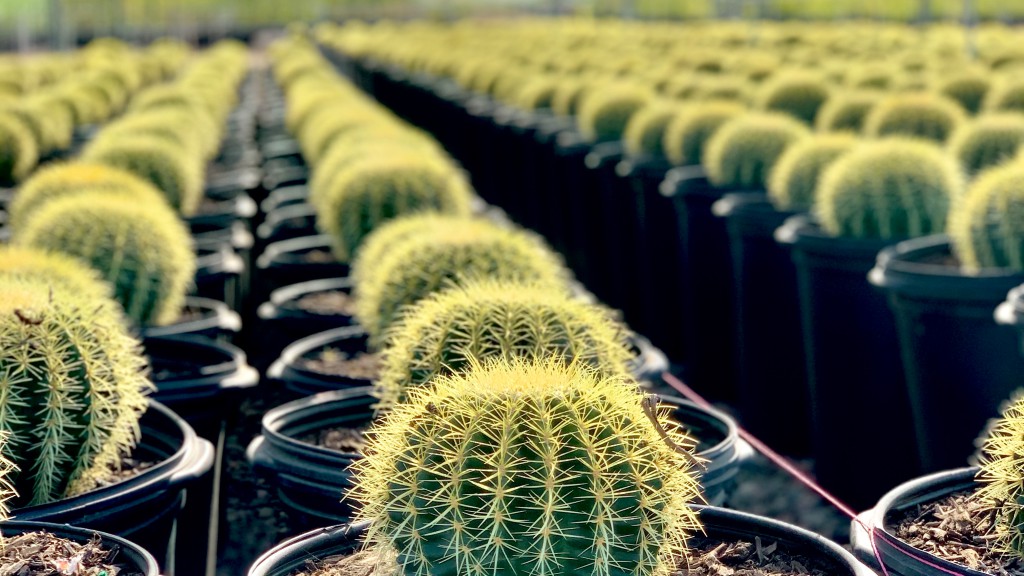 Desert Crown Creations